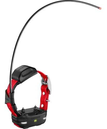 Garmin Mini Dispositivo Para Perros Tt15 Mini Negro Con Rojo
