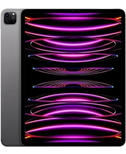 iPad  Apple Pro 6th Generation 2022 A2436 12.9  256gb Gris Gris Espacial